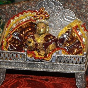Swaminarayan-bhagvan-shanghar-darshan (16)  